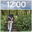 노꼬메오름 | 제주 족은노꼬메 오름, '작다고' 쉬울 줄 알았는데... 예상 밖 '경사 맛집'