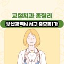 이창웅치과의원 | 부산광역시 서구 충무동1가 교정치과 총정리