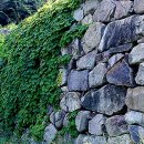 조은하루 이미지