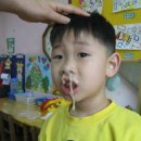 여린 Daum카페