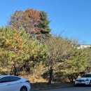 예스 | 이천 데이트코스 도자기마을 예스파크 후기 (너븐재/이린/토토공방/라기환공방)