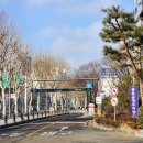 종로-연건-종로-연-214 | 신혼집 이불 구입하기 종로 4가 이브자리 구입후기