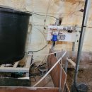 육계농장 이미지