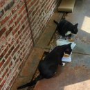 마블홀 펜션 | 8월