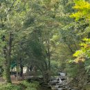 옥당걸숲속 이미지