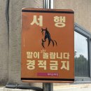 카페자이고 | 대구 아이랑 가볼 만한 곳 추천 | 1만 원대 승마 체험 대덕승마장