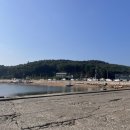 [충남 태안] 안면도 구매항 쭈꾸미, 갑오징어, 우럭 낚시, 오뚜기 좌대 내돈내산 1박 후기