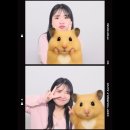 개청순한고양이 | 뭐 했다고 ( •̀ .̫ •́ )✧ 하지만 열심히 살았다