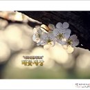 이화목장 이미지