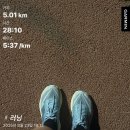 나이키 줌 X 베이퍼 플라이 넥스트% 3 러닝화 🏃‍♀️ 내돈내산 마라톤 준비 후기