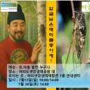 설이얼음 | [여의도 아이와 가볼만한곳] 샛강생태체험관 곤충 프로그램 후기 (feat. 서울시 공공서비스예약 무료수업)