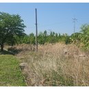 정재용농장 이미지