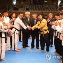 손 태권도 이미지