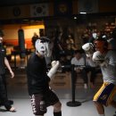 감정체육관 이미지