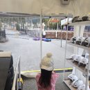 형제목장 | 벨포레리조트 놀거리 총정리 | 썰매장 놀이공원 목장 미디어아트까지