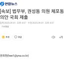 강릉 다이묘 잘 가시게 이미지