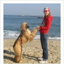 브리더클럽 이미지