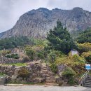 제주 산방산 암벽식물지대 이미지
