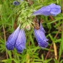 아름다운 그님 이미지