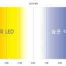 더라이트 주식회사