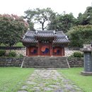 유림-1146 이미지