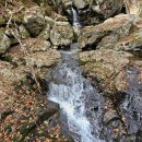 제눈에안경 이미지