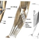 택곡 이미지
