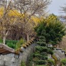 토지민박 이미지