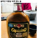 캪틴 이미지