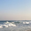 고성바다 이미지