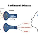 주식회사 에스바이오 이미지