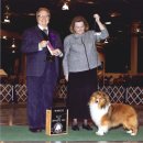 리버티벨 이미지