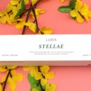 스텔라이 이미지