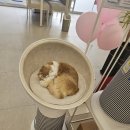 나성동LG베스트샵건너편 | 주안센트럴파라곤 공동구매 지정점 프로모션 좋은 LG전자베스트샵 동인천점