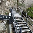 속리산동행