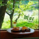 녹천캠핑 | 청도 대형카페 뷰 좋은 브런치 맛집 대구근교 애견동반 가능한 녹천