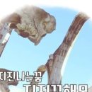 지진나는꿈 산사태꿈 집무너지는꿈 지진꿈 이미지