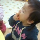 세라어린이집 이미지