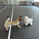 동백유치원 이미지