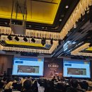 월드펫투어 이미지