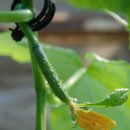 계산농장 이미지