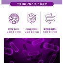 유산균 다이어트 요요 방지와 식단조합 방법