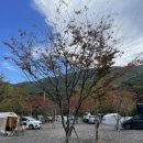 스마일 캠핑장 이미지