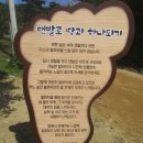 K문화힐링 페스티벌에 다시 다녀왔습니다