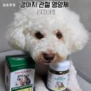 포바운티 강아지 영양제 추천 관절영양제 급여후기