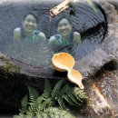 표주박