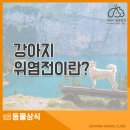 관양동물병원 이미지