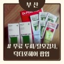올리브영부산 - 부산진구 당감로 46 | [후기] 올리브영 1등 탈모샴푸 닥터포헤어 ❌무료 탈모검사❌ 부산커넥트현대 팝업 후기