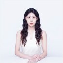 홍대 증명사진 드디어 찍은 포토위크 내돈내산 후기