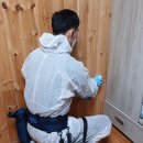 보현산자연휴양림 이미지